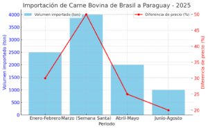 Ante altos precios en Paraguay se abre importación para el ingreso de Carne del Mercosur